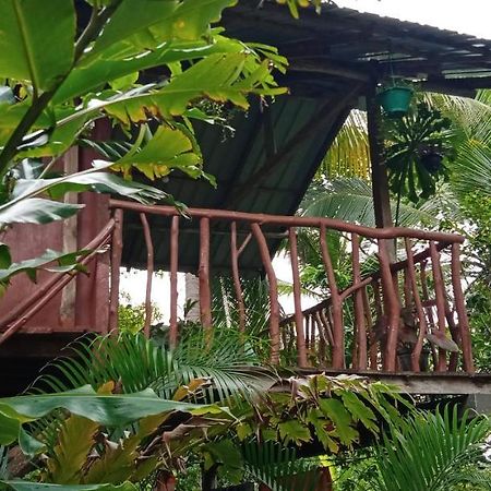 Sigiri Panaromic Tree House Villa Sigiriya Exterior foto