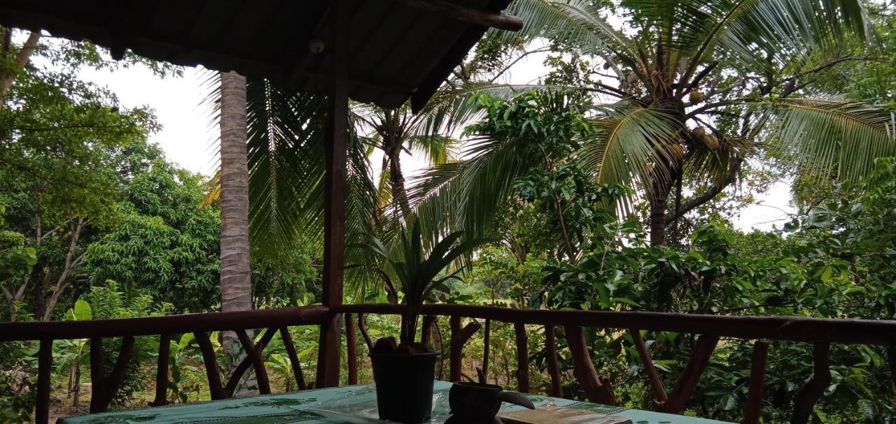 Sigiri Panaromic Tree House Villa Sigiriya Exterior foto