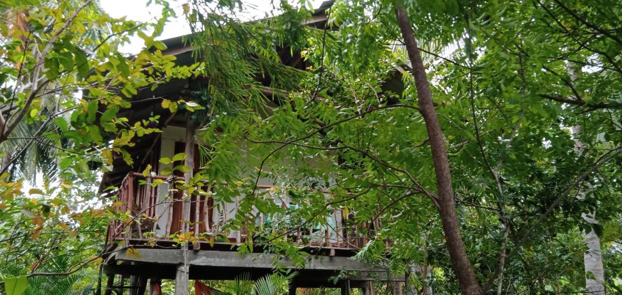 Sigiri Panaromic Tree House Villa Sigiriya Exterior foto