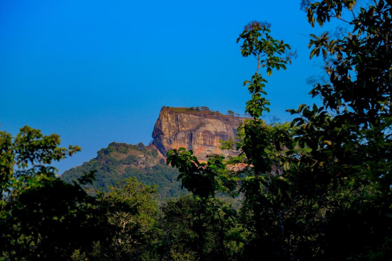 Sigiri Panaromic Tree House Villa Sigiriya Exterior foto
